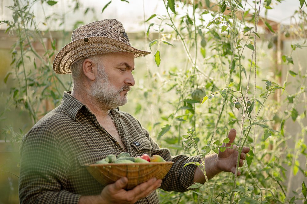 Photograph by Елена Корж