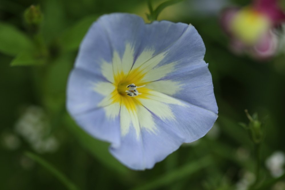 Photograph by Pauline Doran