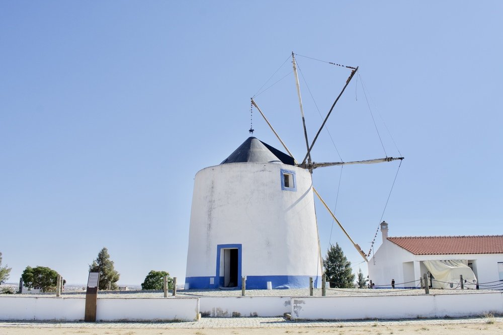 Photograph by Olga Pereira