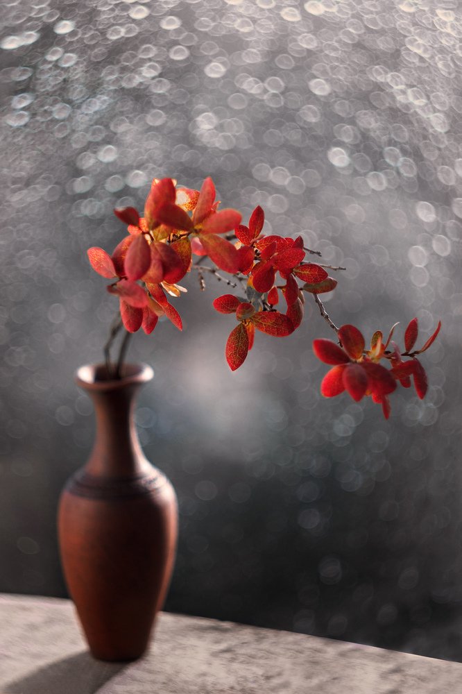 Красные листики