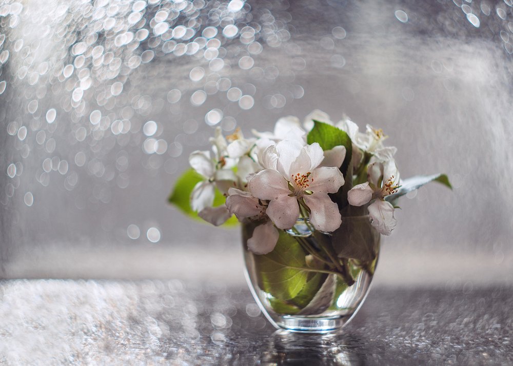 Яблоневый цвет