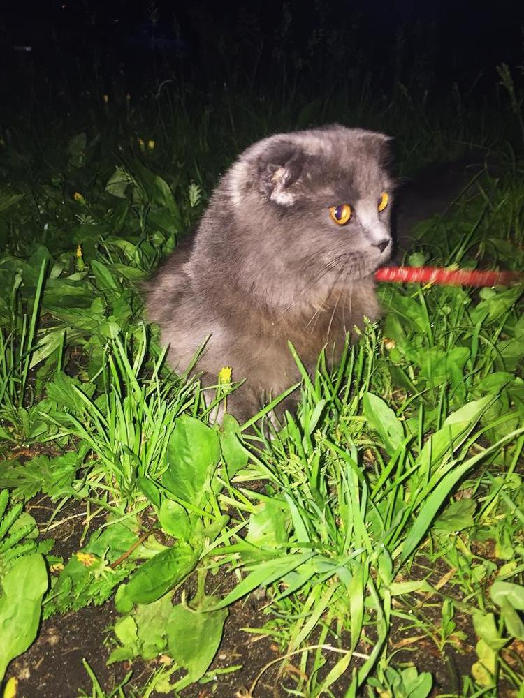 Photograph by маргарита шмелева