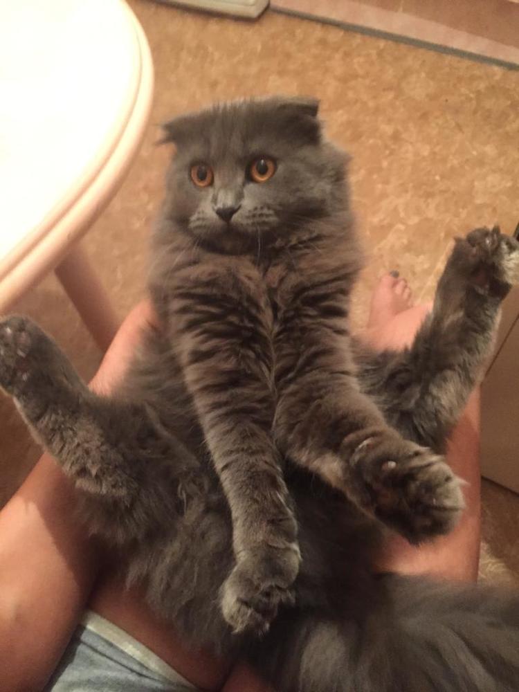 Photograph by маргарита шмелева