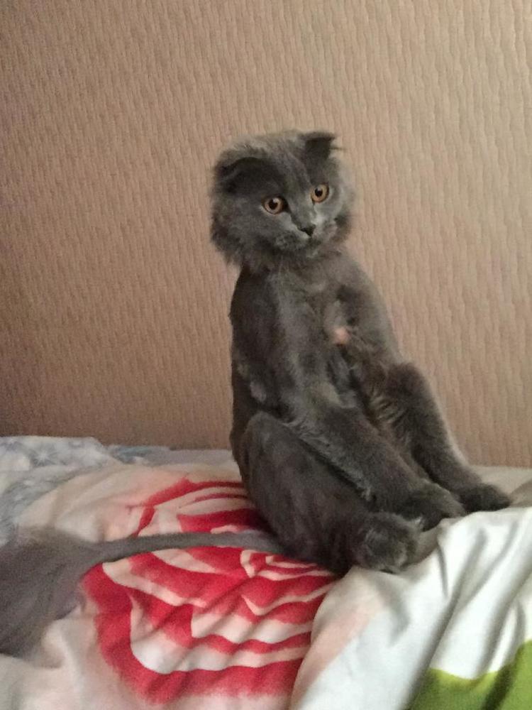 Photograph by маргарита шмелева