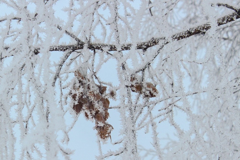 Дыхание зимы