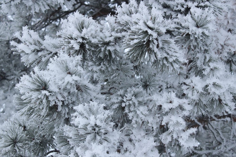 Photograph by Александр Афанасьев