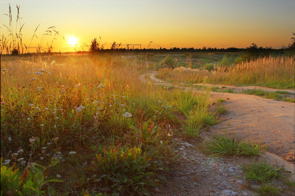 Photograph by Владимир Шатов