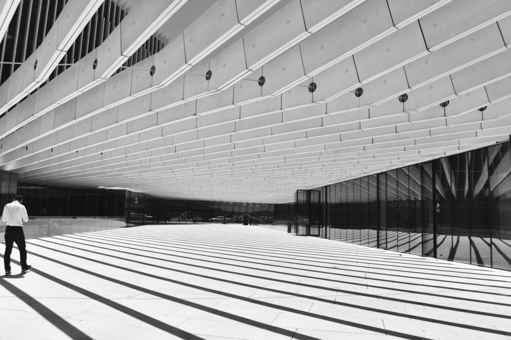 Photograph by Olga Pereira