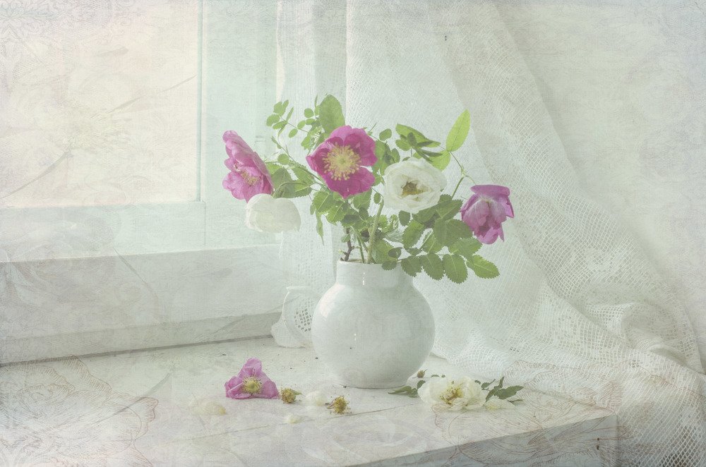 Photograph by Синегубова Ольга