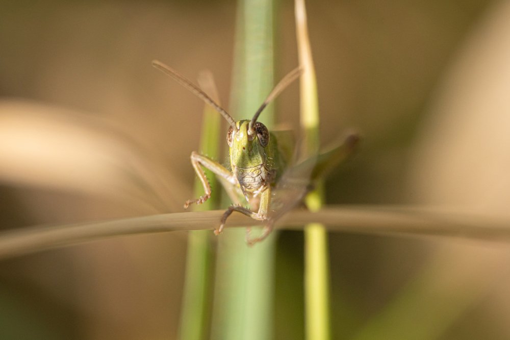 Photograph by Daniel Malinowski