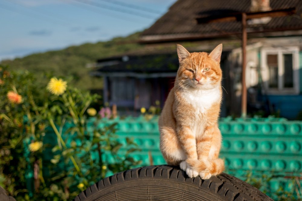 Photograph by Антон Уба