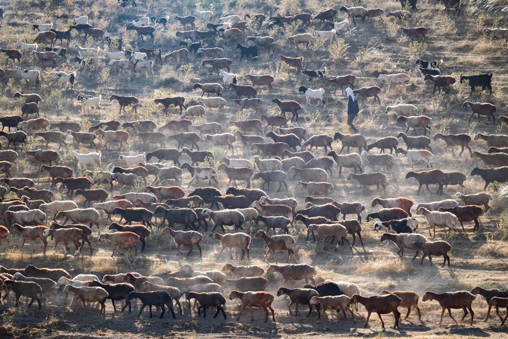 Photograph by Mohammad azimi