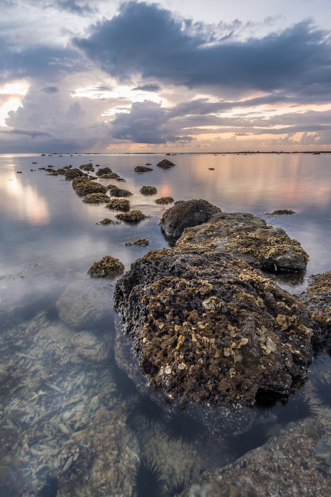 Photograph by Daniel Malinowski