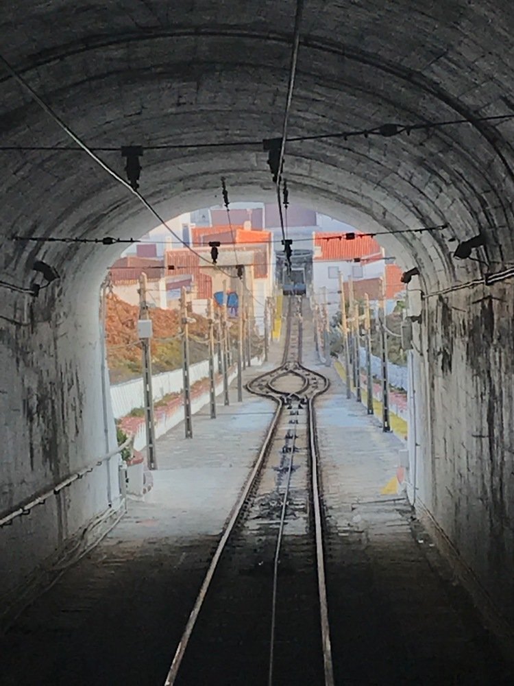 Photograph by Maria Fernanda Martins