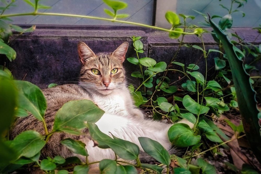 Photograph by Лейла Новикова