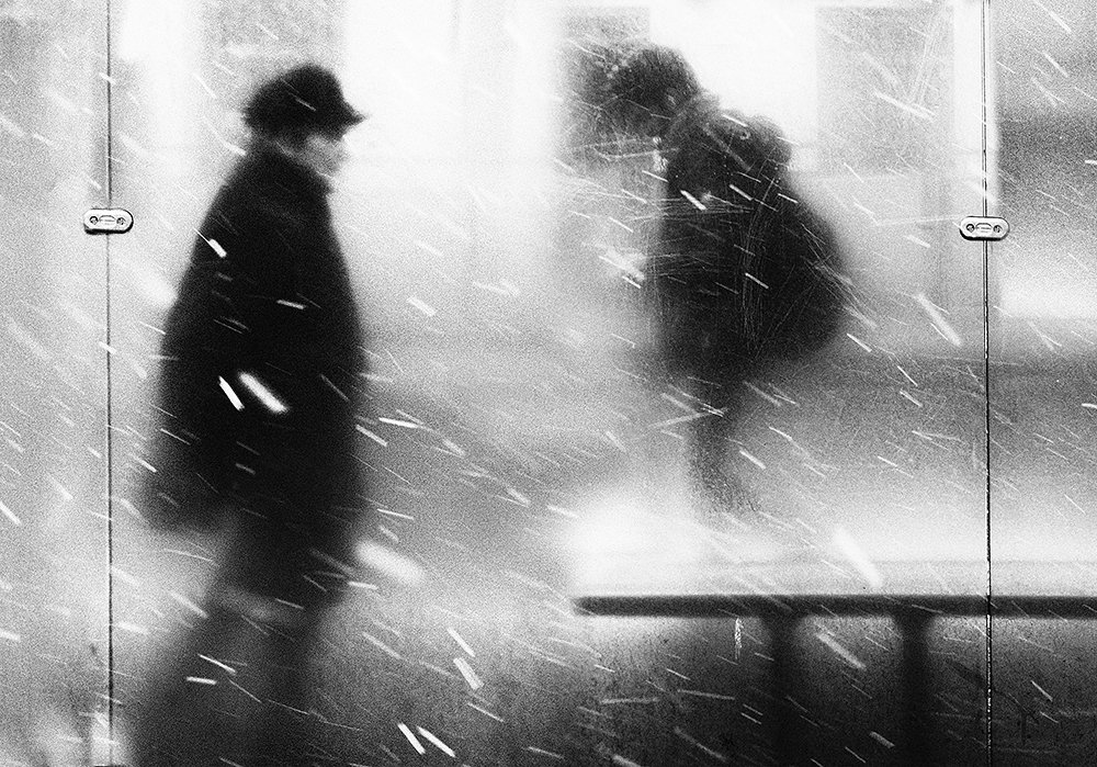 Poetry Of Autumn Dailyness