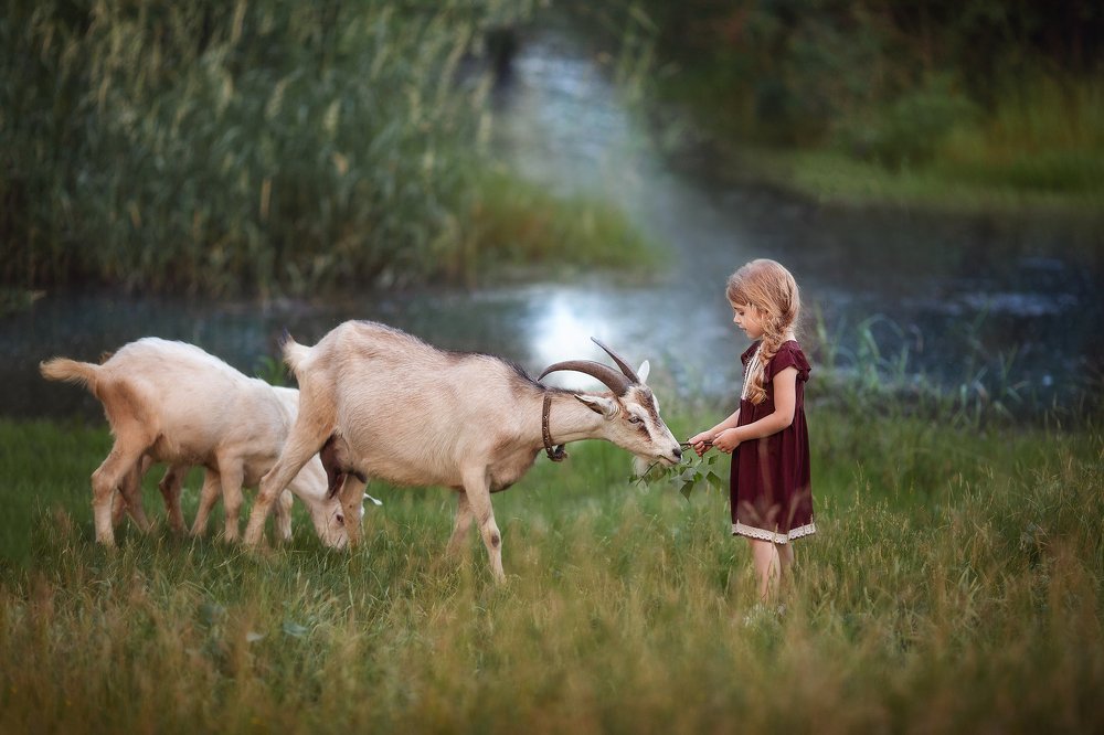 Photograph by Марина Туник