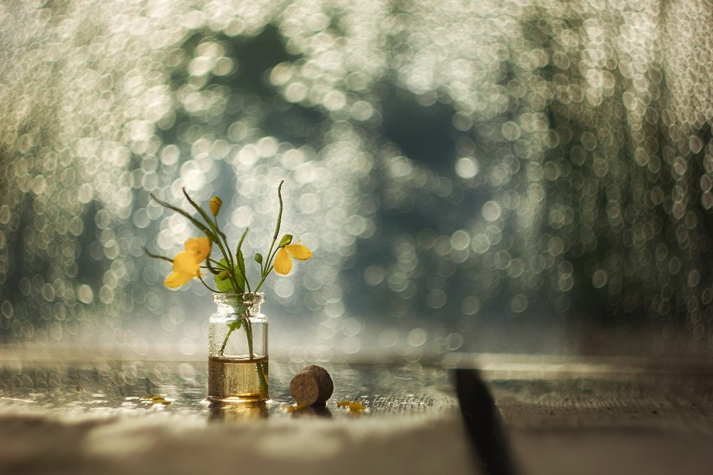 Photograph by Юлия Бусыгина