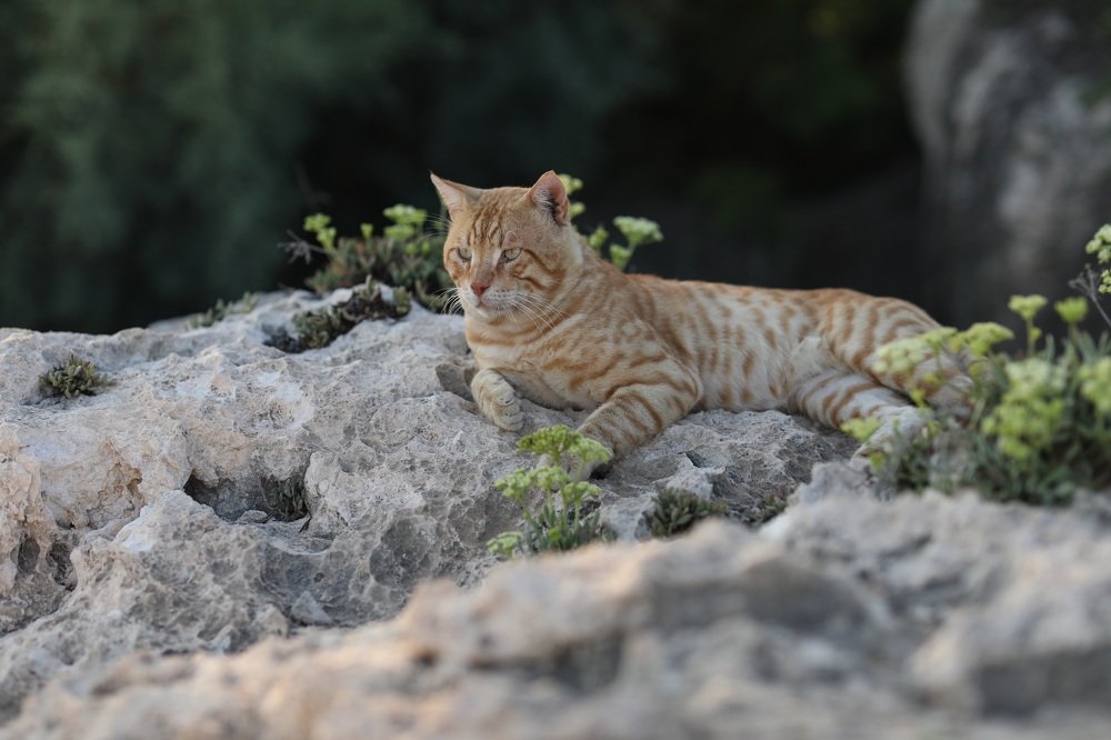 Photograph by Ирина Харичева