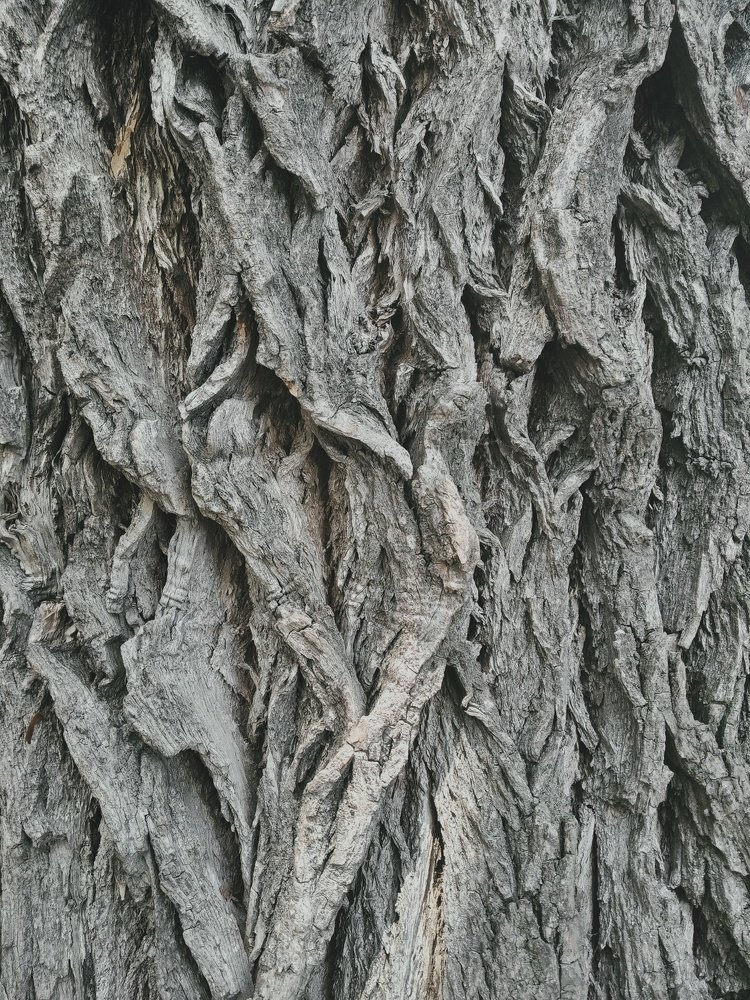 Photograph by Ирина Бобык