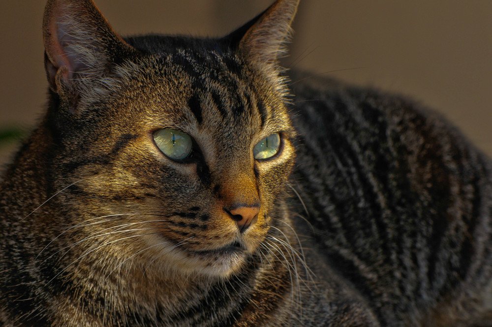 Photograph by Moura Denis