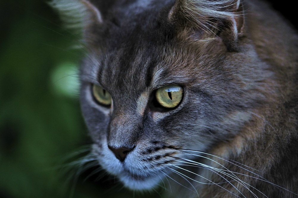 Photograph by Moura Denis