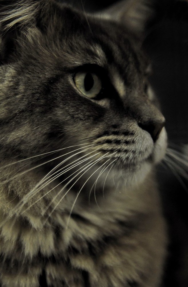 Photograph by Moura Denis