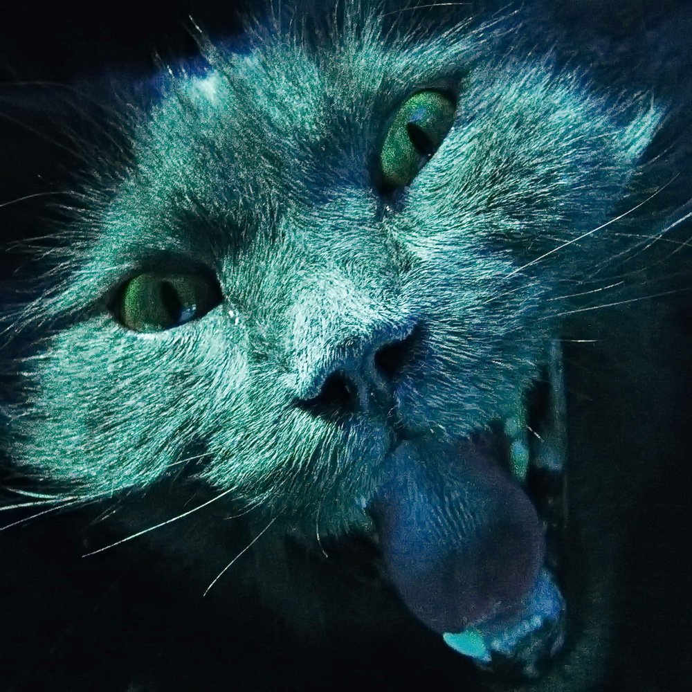 Photograph by Алексей