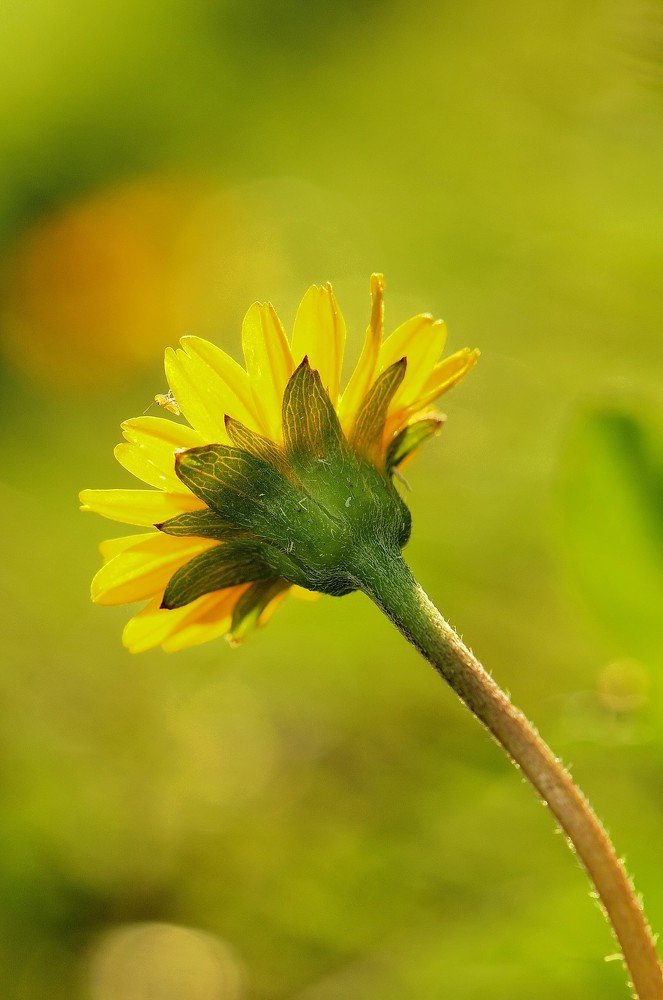 Photograph by Moura Denis