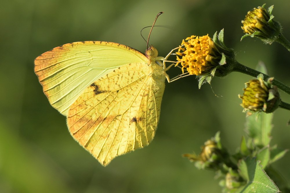 Photograph by Moura Denis