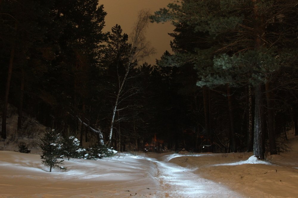 Photograph by Надежда Демиденко