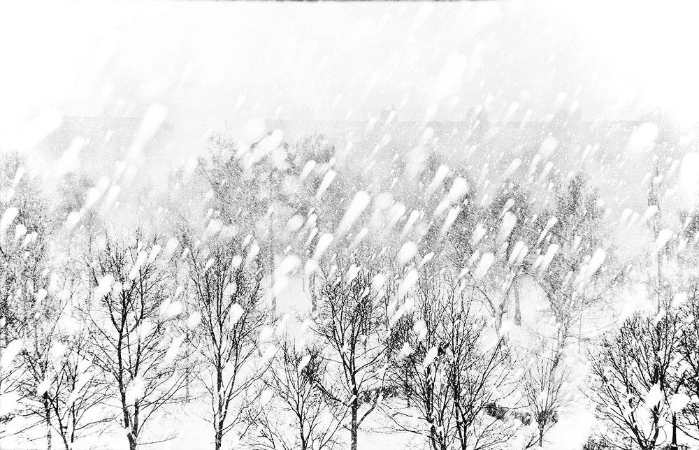 Photograph by Владимир Гречанинов