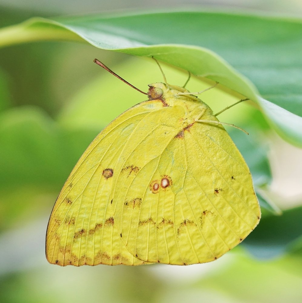 Photograph by Rinto Adhitama Wahjuni