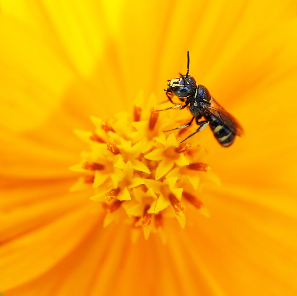 Photograph by Rinto Adhitama Wahjuni