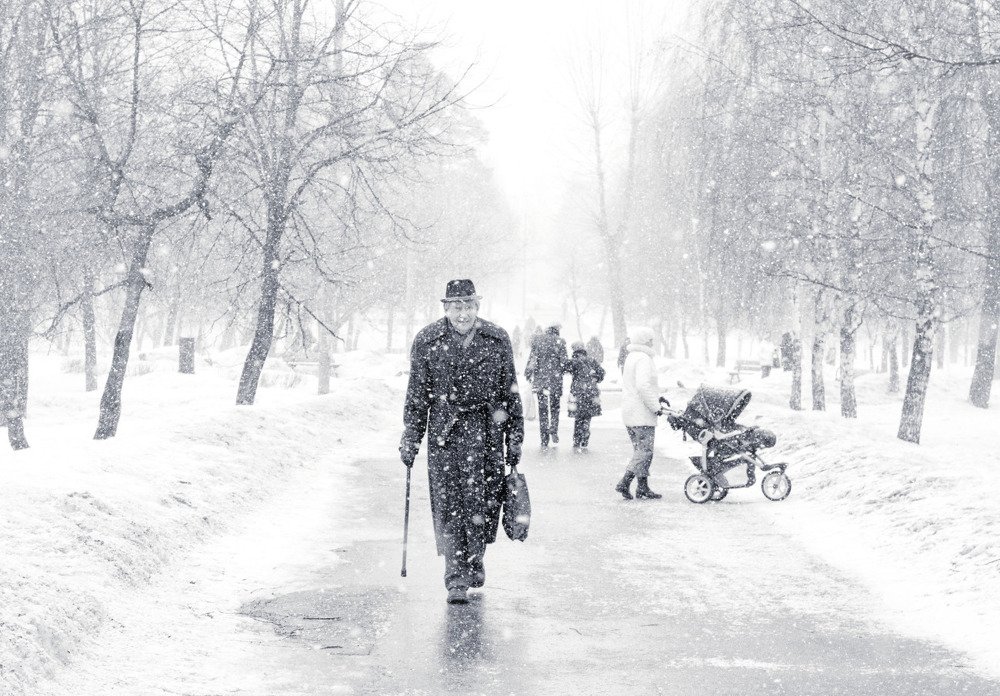 Photograph by Владимир Гречанинов