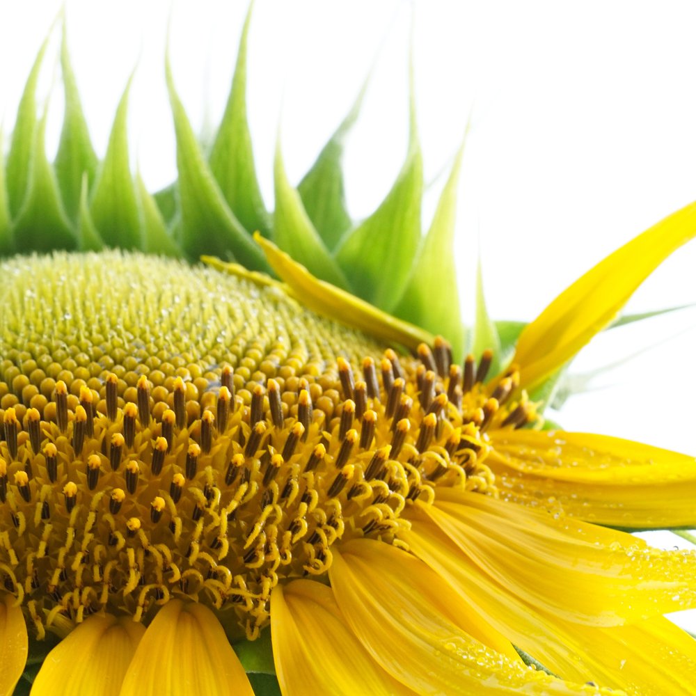 Photograph by Rinto Adhitama Wahjuni