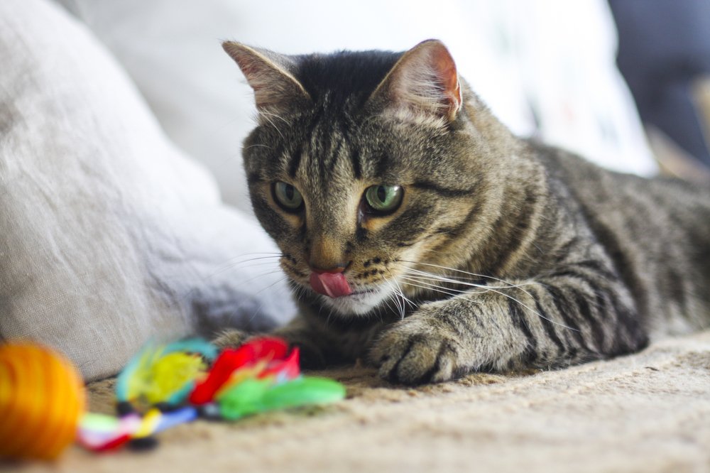 Photograph by Liza Kadochnikova