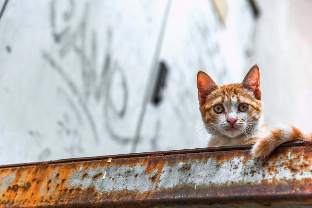 Photograph by Вадим Тихонов