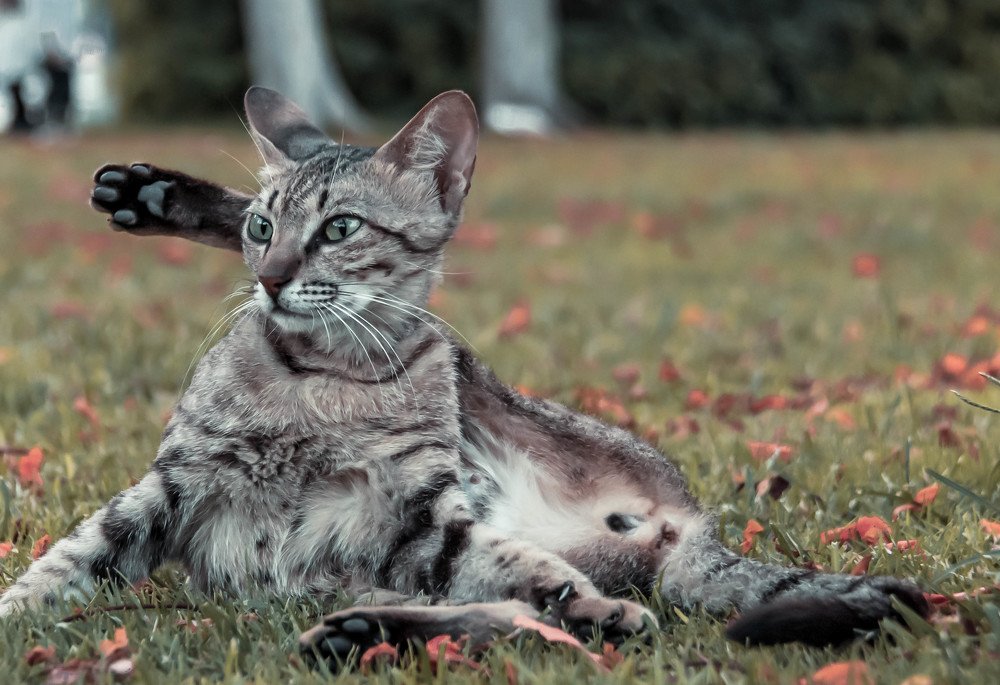 Photograph by Jerome Ralph Ramos