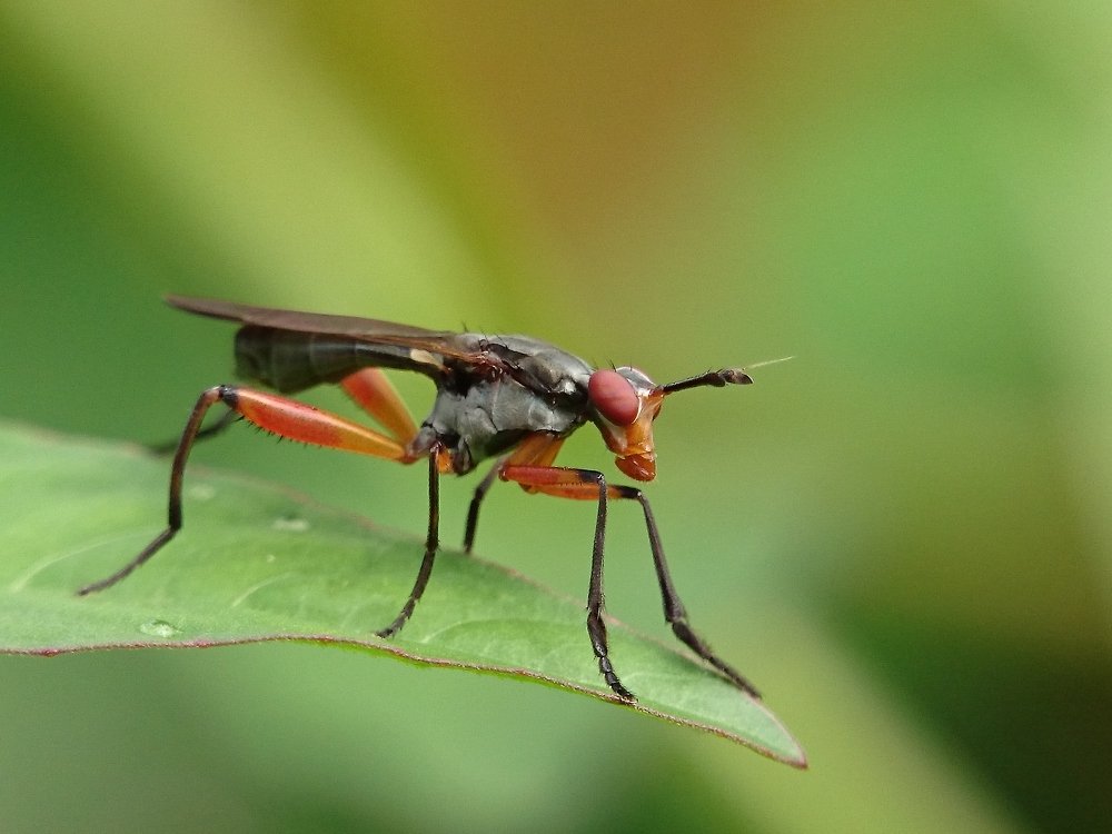Photograph by Ivan Maulana