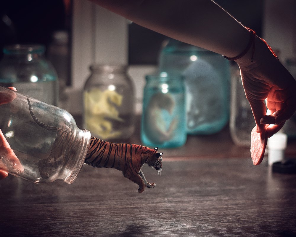 Photograph by Сергей Мельников