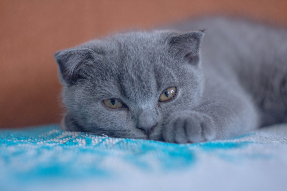 Photograph by Диана Лукашевич