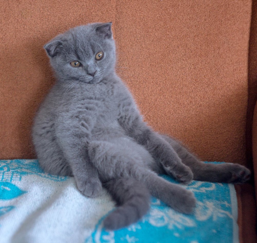 Photograph by Диана Лукашевич