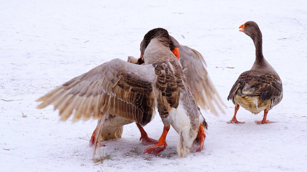 Photograph by Блюмина Елена