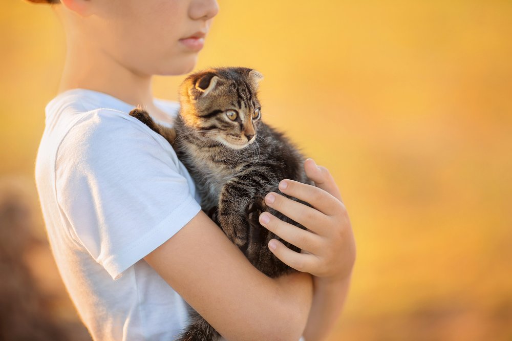 Киска-мурыска