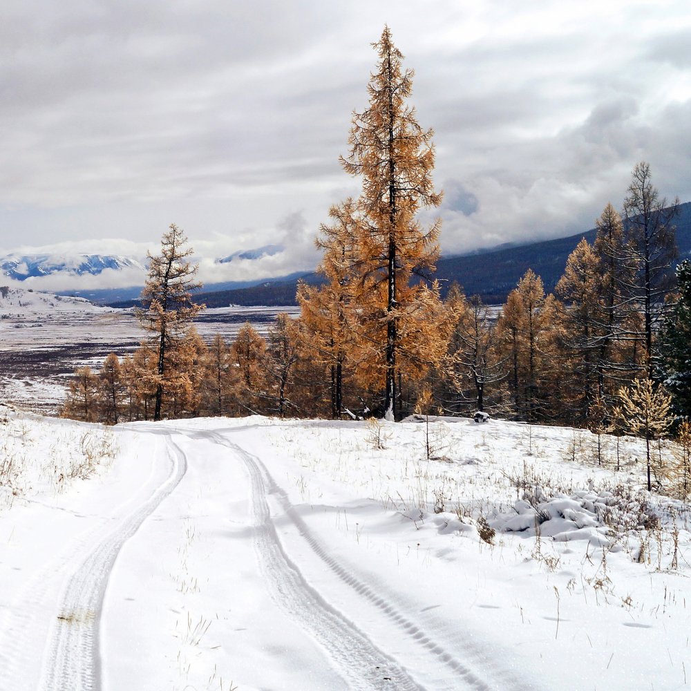 Photograph by Людмила