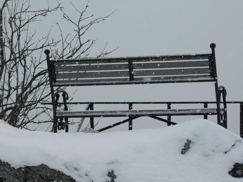 Photograph by Чкареули Светлана