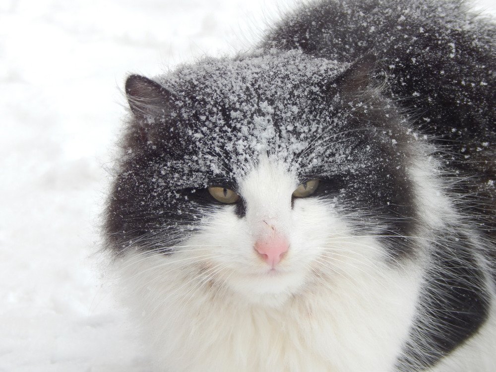 Photograph by Алена