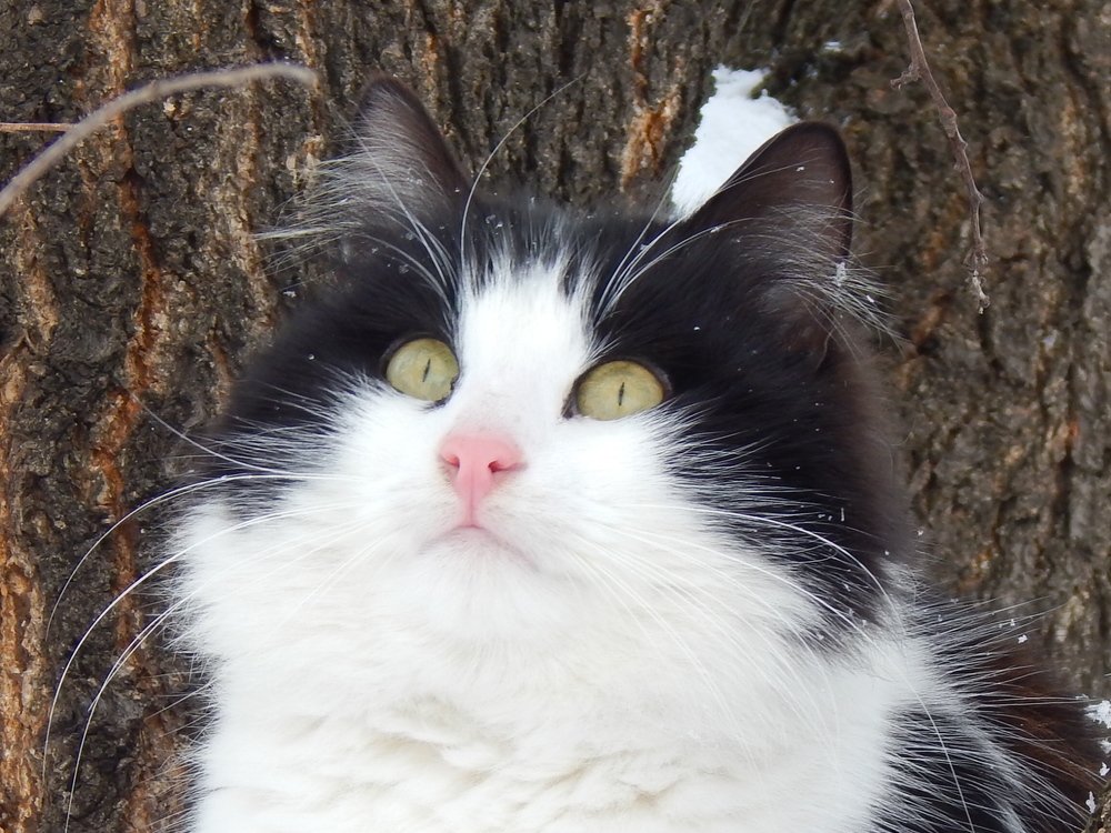 Photograph by Алена