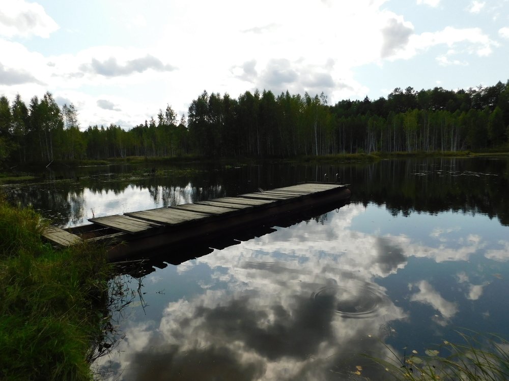 Photograph by Чкареули Светлана